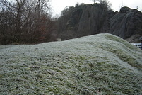 DSC01123