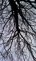 20100123124721