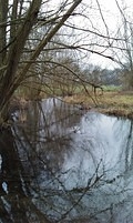 20100123124933