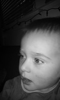 20101226154200