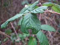 20110123151643
