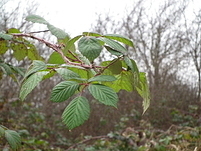 20110123151805