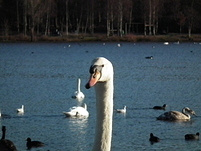 20110109142518