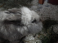 20110315141802