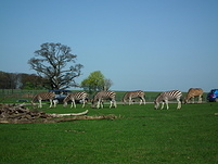 20110409095725