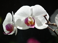 20110502100235