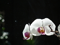 20110502100336