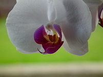 20110502154057