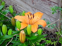 20110522185130