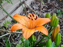 20110522185153