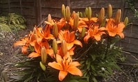 20110530110613