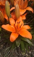 20110530110624