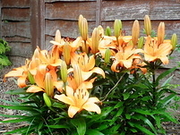 20110530125608