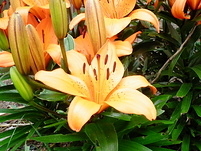 20110530125625
