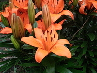 20110530125637