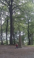 20110512102753