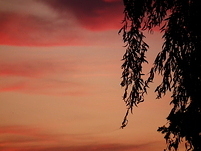 20110723201229