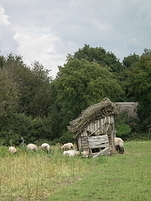 20110710133142