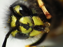 20110814164553