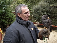 20120203101952
